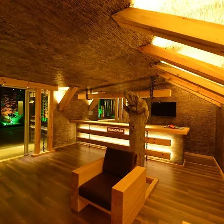 Manaspark Deluxe Hotell 4*